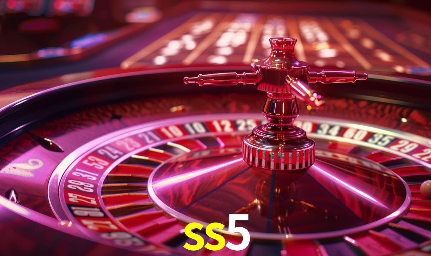 Instalador ss5 Windows